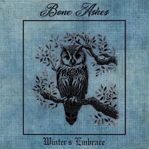 Winter's Embrace