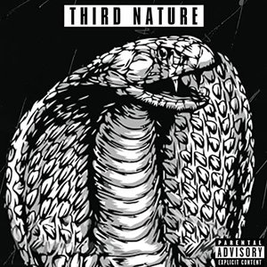 THIRD NATURE