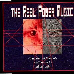 The Year Of The Cat
