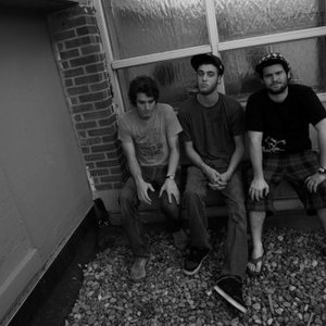 Bear Language 的头像