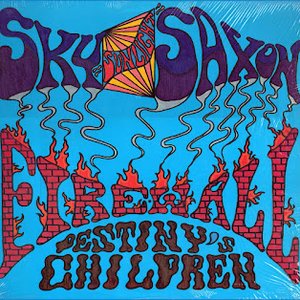 Avatar for Sky Sunlight Saxon With FireWall