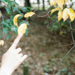 In the Finger-Painted Fields of the Eyes cover