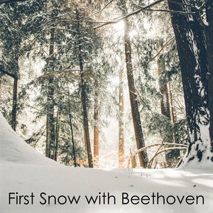 First Snow with Beethoven