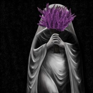 Lavender - Single