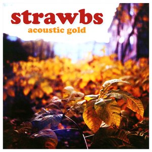 Acoustic Gold