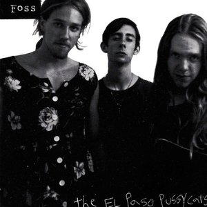 Foss 的头像