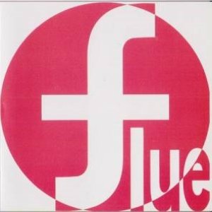 Flue