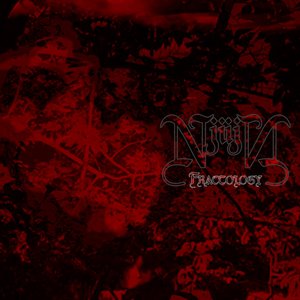 Fractology