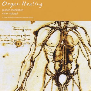 Organ Healing