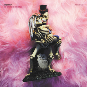 arab strap - The Turning Of Our Bones - Zortam Music