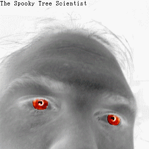 Avatar for the spooky tree scientist