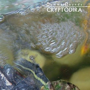 Cryptodira