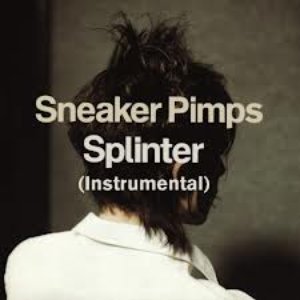Splinter (instrumental album)
