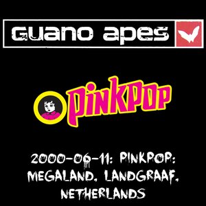 2000-06-11: Pinkpop: Megaland, Landgraaf, Netherlands