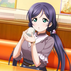 Toujou Nozomi (CV: Kusuda Aina) 的头像