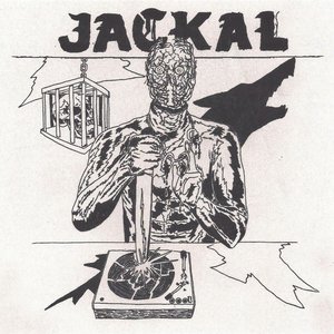 Jackal