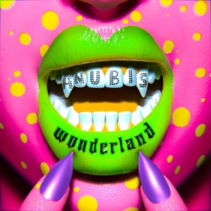 Wonderland - Single