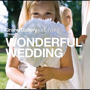 Wonderful Wedding