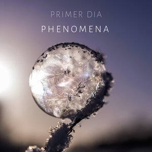 Phenomena