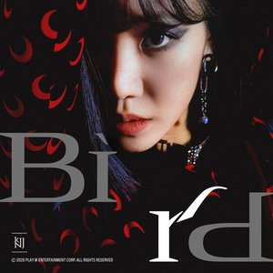 Bird - Single