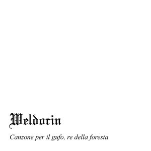 Image for 'Canzone per il gufo, re della foresta'