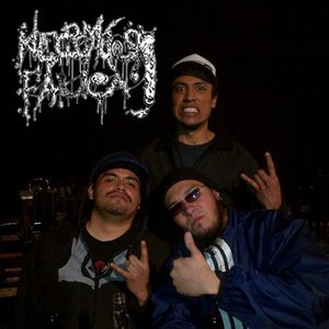 Necromucosafalica 的头像