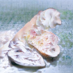 Of Ambrosia - Single