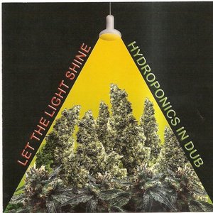 Let the Light Shine: Hydroponics in Dub