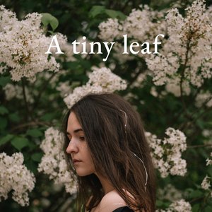 Raveny & A Tiny Leaf 的头像