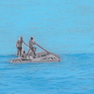 Summer's Gone - Single