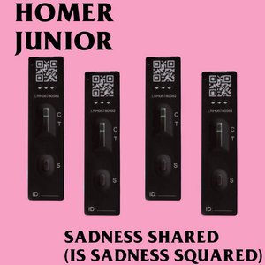 Sadness Shared (Is Sadness Squared) - Single