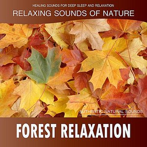 Forest Relaxation: Relaxing Sounds of Nature