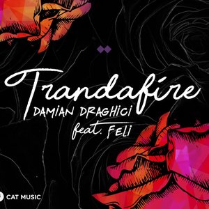Trandafire