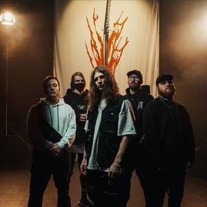 Alpha Wolf 的头像