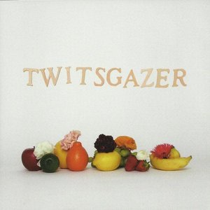 Twitsgazer
