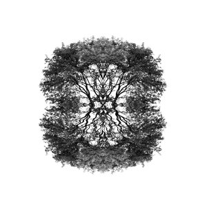 EP