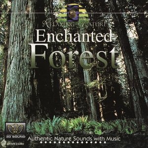 Enchanted Forest