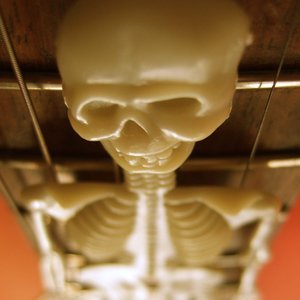 Skelington Bob için avatar