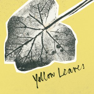 Yellow Leaves