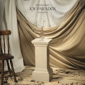 Joy Paradox (The Remixes)