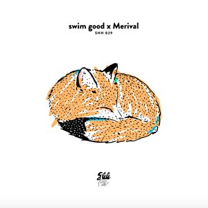 Avatar for swim good x Merival