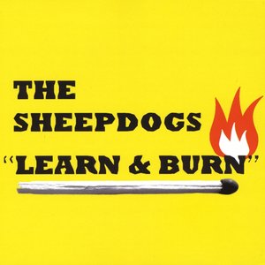 “Learn & Burn”的封面