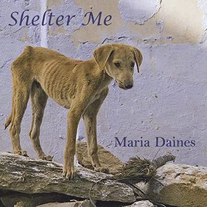 Shelter Me