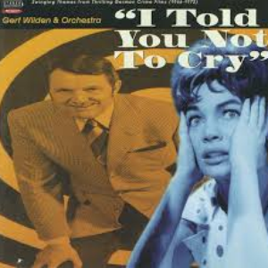 I Told You Not to Cry cover