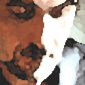 Avatar for Clark  Berger