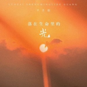 落在生命裡的光 - Single