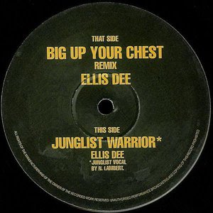Big Up Your Chest (remix) / Junglist Warrior