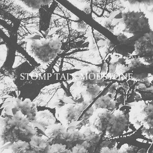 Stomp Talk Modstone