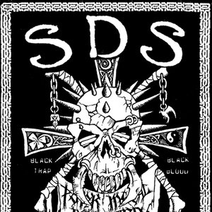 S.D.S のアバター