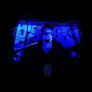 Wired Backwards - Single